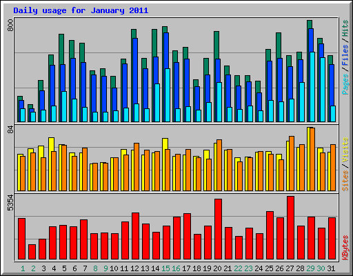 Daily usage for January 2011