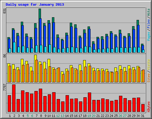 Daily usage for January 2013