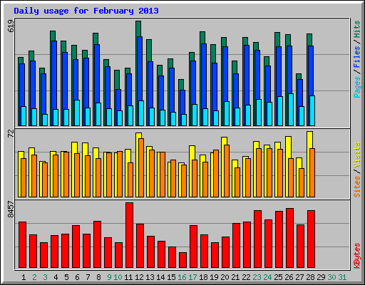 Daily usage for February 2013