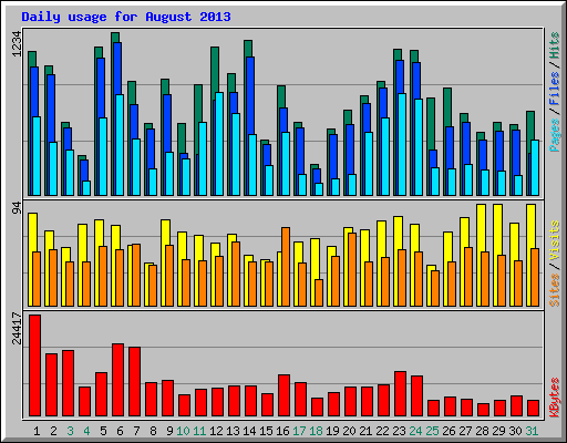 Daily usage for August 2013