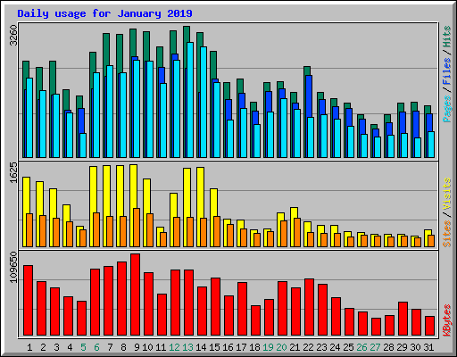 Daily usage for January 2019
