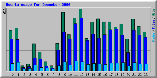 Hourly usage for December 2006