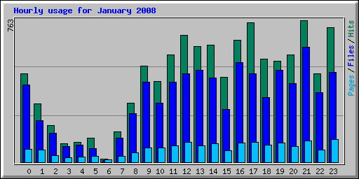 Hourly usage for January 2008