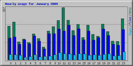 Hourly usage for January 2009