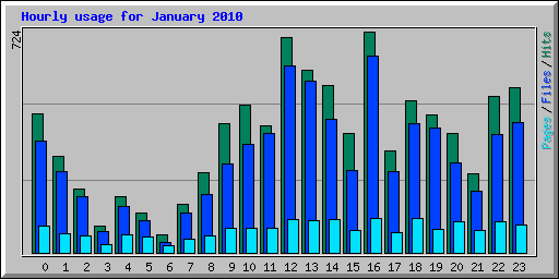 Hourly usage for January 2010