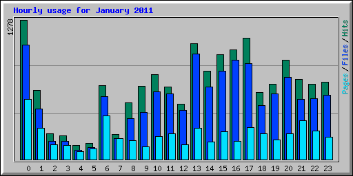 Hourly usage for January 2011