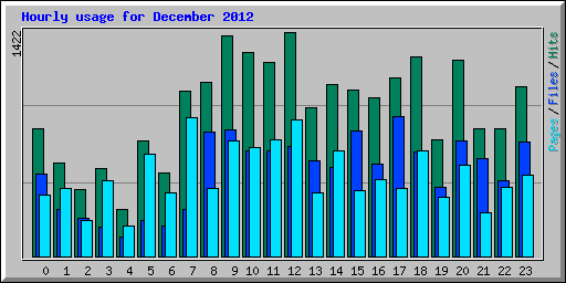 Hourly usage for December 2012