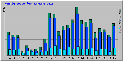 Hourly usage for January 2013