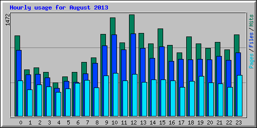 Hourly usage for August 2013