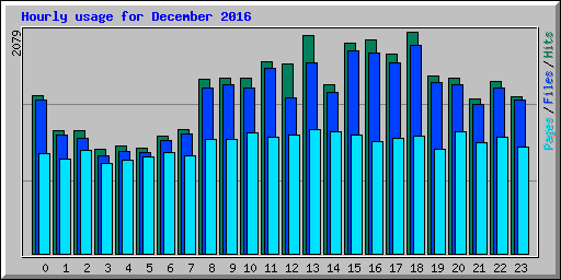 Hourly usage for December 2016