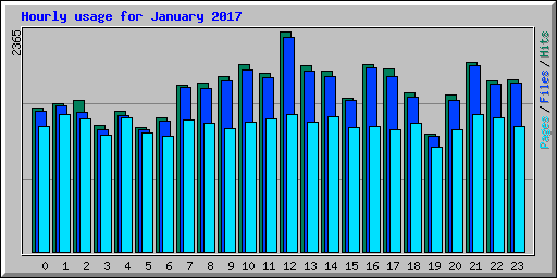 Hourly usage for January 2017