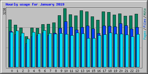 Hourly usage for January 2019