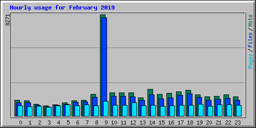 Hourly usage for February 2019