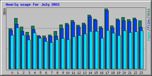 Hourly usage for July 2021