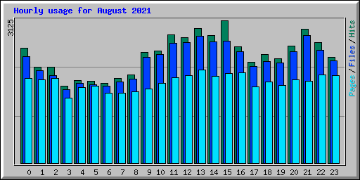 Hourly usage for August 2021
