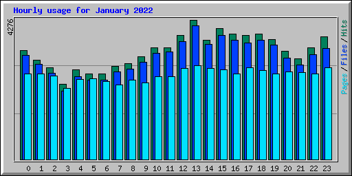 Hourly usage for January 2022