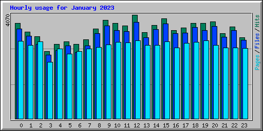 Hourly usage for January 2023