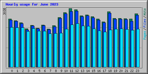 Hourly usage for June 2023